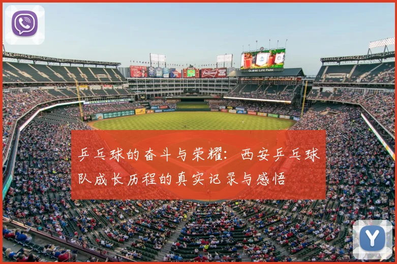 乒乓球的奋斗与荣耀：西安乒乓球队成长历程的真实记录与感悟