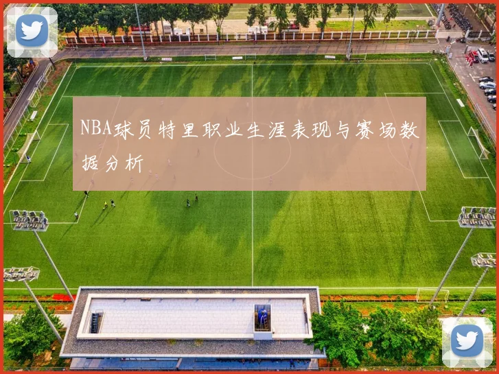 NBA球员特里职业生涯表现与赛场数据分析