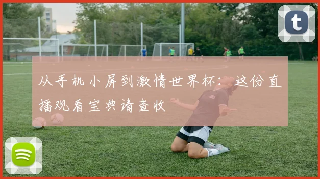 从手机小屏到激情世界杯：这份直播观看宝典请查收