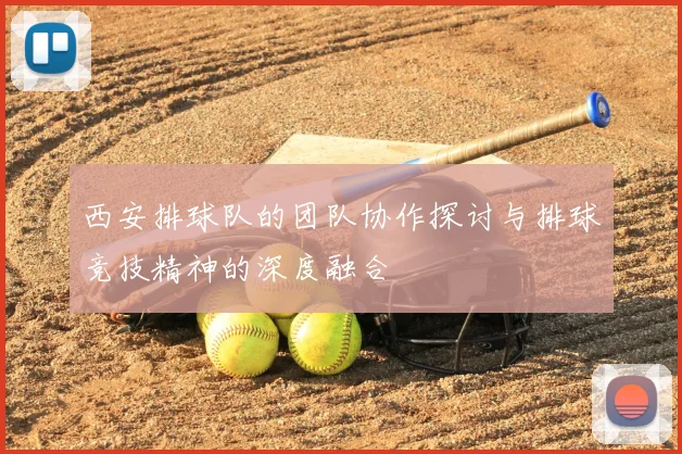 西安排球队的团队协作探讨与排球竞技精神的深度融合