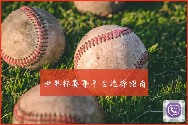 世界杯赛事平台选择指南