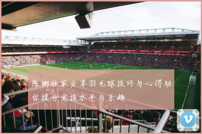 陈娜独家分享羽毛球技巧与心得助你提升竞技水平与乐趣