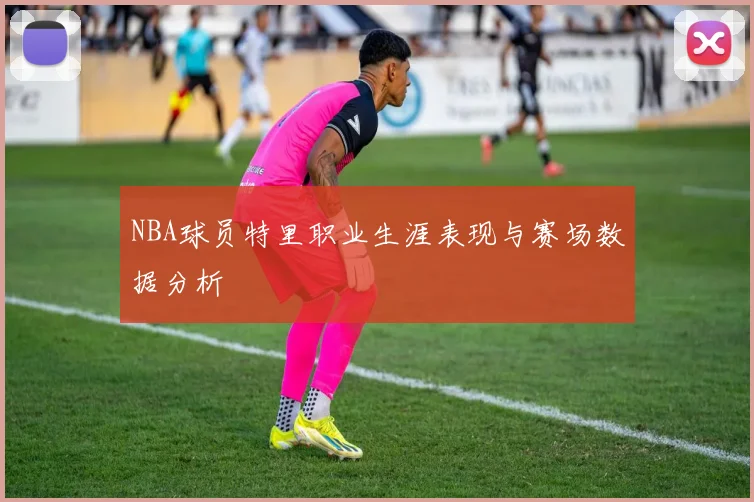 NBA球员特里职业生涯表现与赛场数据分析