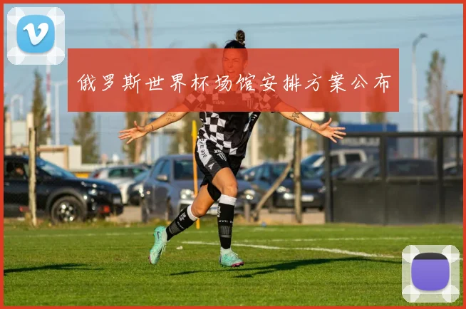 俄罗斯世界杯场馆安排方案公布