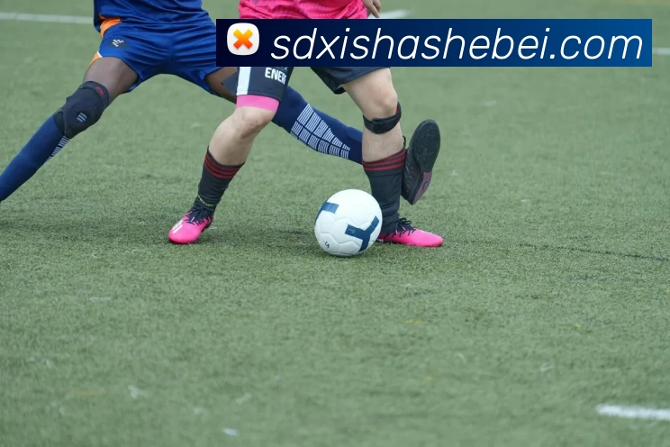 kaiyun平台生态图